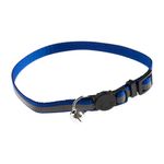 collar-reflectivo-para-gatos-simplicity-pet-azul