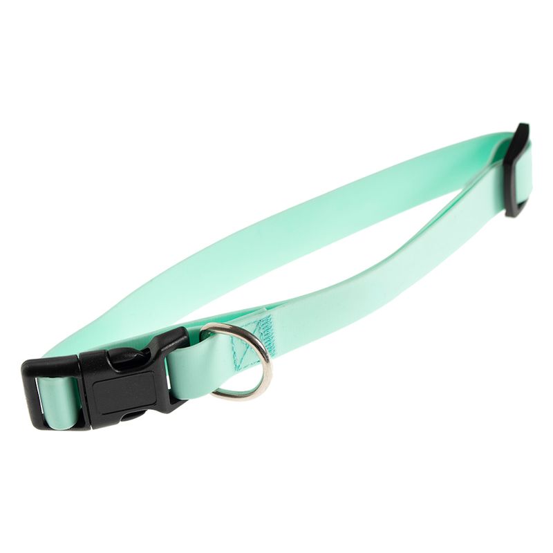 Aqua collar on sale