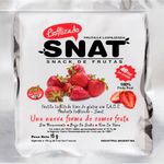 frutas-liofilizados-snat-frutilla-x-15-g