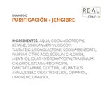 shampoo-dove-plant-power-purificacion-jengibre-x-300-ml