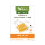 suplemento-dietario-pure-wellness-jalea-real-x-250-g