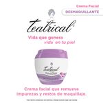 crema-facial-desmaquillante-teatrical-x-200-gr