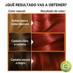 kit-coloracion-permanente-nutrisse-colorissimos-x-45-g