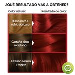 kit-coloracion-permanente-nutrisse-colorissimos-x-45-g