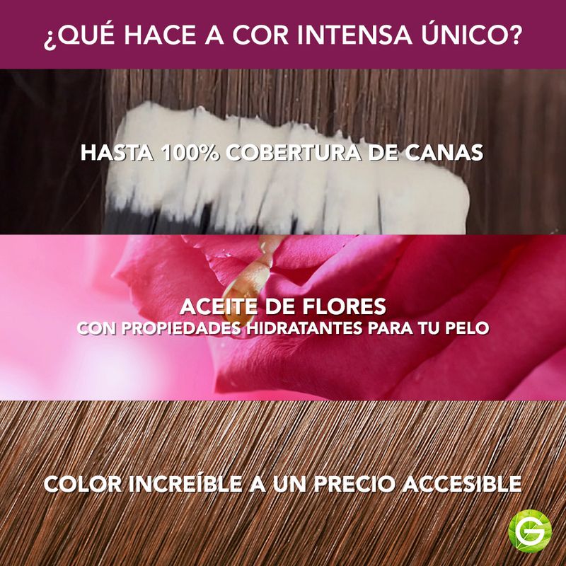 kit-coloracion-permanente-garnier-cor-intensa-x-45-g
