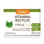 238619_suplemento-dietario-pure-wellness-b12-plus-x-30_imagen-1