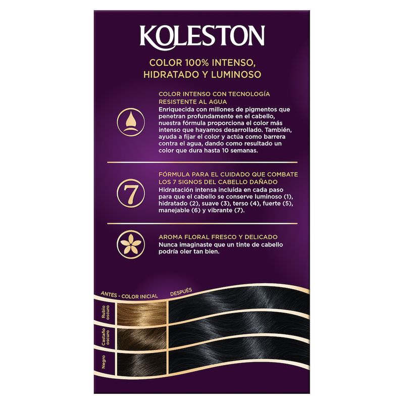 Kit-Coloracion-Color-Intenso-y-Duradero