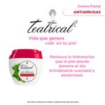 crema-facial-teatrical-antiarrugas-x-200-g