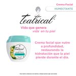 crema-facial-teatrical-humectante-x-200-g