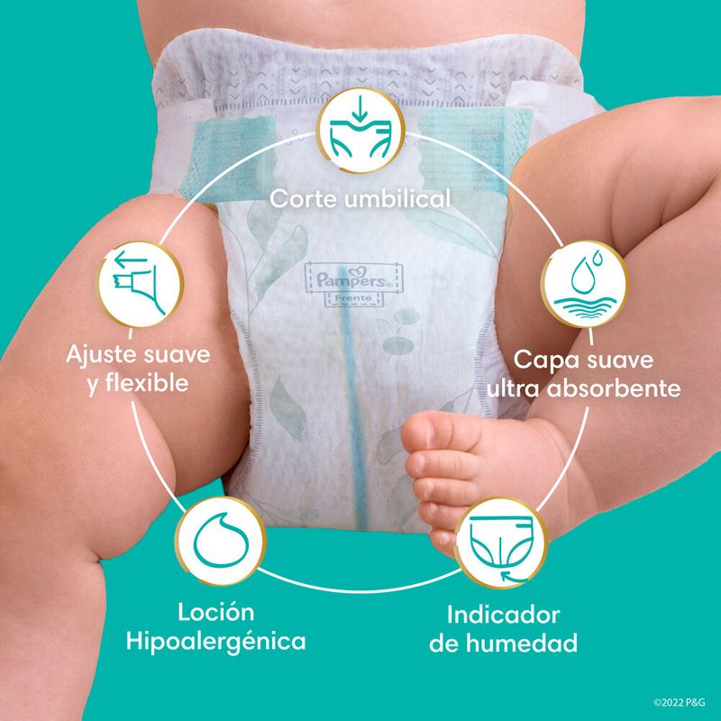 panal-pampers-deluxe-prot-p--36-un