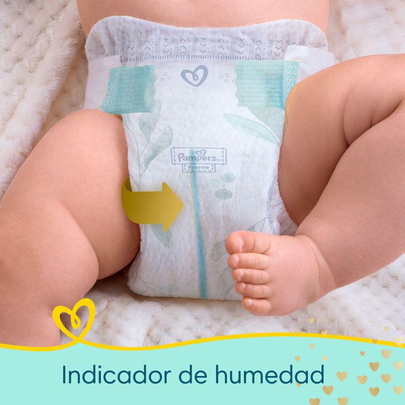 panal-pampers-deluxe-prot-p--36-un