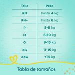 panal-pampers-deluxe-prot-p--36-un