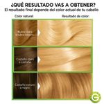kit-tintura-nutrisse-clasico-x-45-g