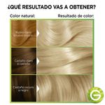 kit-tintura-nutrisse-clasico-x-45-g