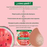 shampoo-solido-garnier-fructis-hair-sandia-x-60-g