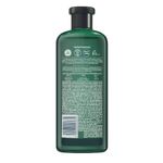 shampoo-herbal-essences-bio-renew-x6-aloe-y-mango-x-400-ml