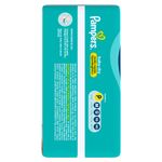 panales-pampers-baby-dry-hipoalergenico