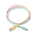 cable-rainbow-1m-type-c-simplicity-tech-ola12