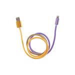 cable-usb-simplicity-rainbow-entrada-lightning-1-m
