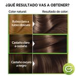239622_kit-nutrisse-tono-50-garnier-fructis-hair-food-palta-mascarilla_imagen-4.jpg