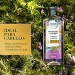 shampoo-herbal-essences-rosemary-herbs-x-400-ml