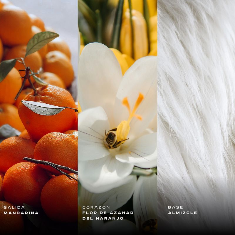 edp-afnan-9am-white-ux-x-100-ml