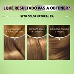 kit-tintura-nutrisse-mascarilla-nutricolor-permanente