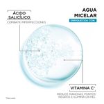agua-micelar-skin-garnier-con-acido-salicilico-x-400-ml