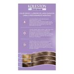 kitcoloracionpermanentekolestonx65g