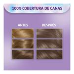 kitcoloracionpermanentekolestonx65g