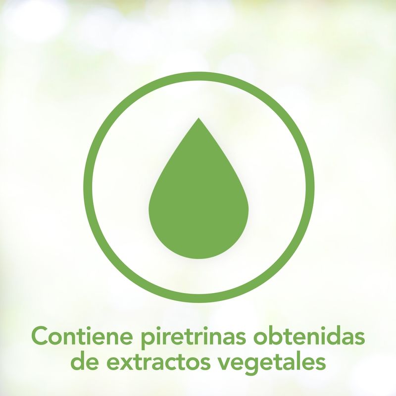 raid-casa-y-jardin-eficacia-segura-aerosol-12-x-360-ml