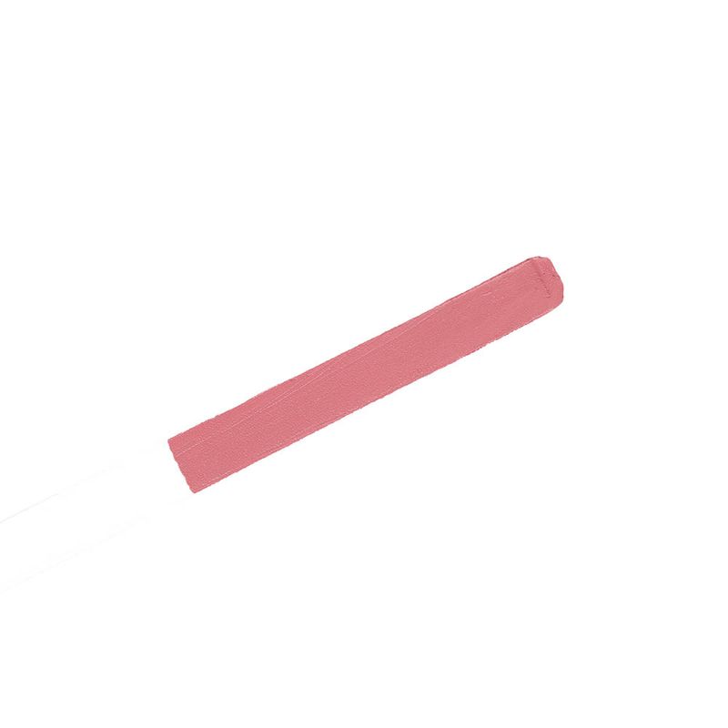 labial-en-barra-matte-loreal-paris-color-riche