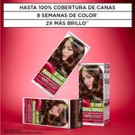 kit-coloracion-permanente-garnier-cor-intensa-x-45-g