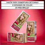 kit-coloracion-permanente-garnier-cor-intensa-x-45-g