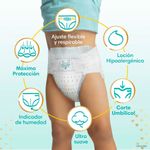 panalpampersdeluxeprotrn36u