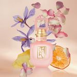 edp-cher-zarci-elixir-x-50-ml
